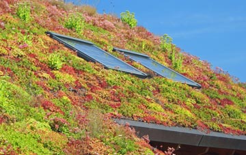 Damhead Holdings living roof systems