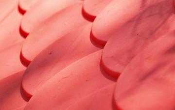 Damhead Holdings plastic roof costs