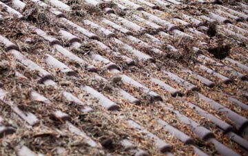 Damhead Holdings roof cleaning companies