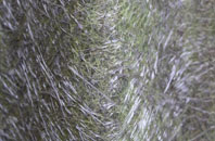 Damhead Holdings fibreglass roof work